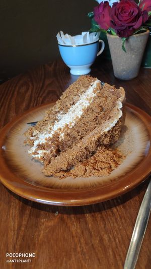 Biscoff cake was 10/10 at Plantarium Cafe in Stratford-upon-avon