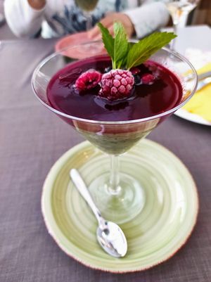 Vanilla chia pudding with berries at Hotel Villa Magdalena in Krapinske Toplice