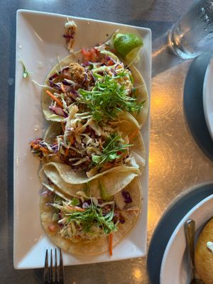 Avocado tacos, no modifications needed at SeaQuake Brewing in Crescent City