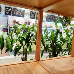 Green room counter area at The Green Room in East Maitland