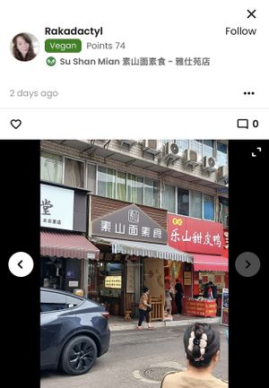 Check out her review to find the exact location for this place, if you’re a foreigner trying to use google maps   at Su Shan Mian 素山面素食 - 雅仕苑店 in Chengdu