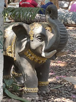   at The Garden of Dreams  in Arambol