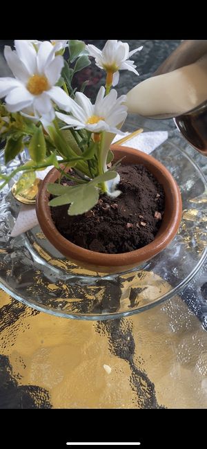 This is a dessert! It was super cool but a bit dry  at Atavico Cafe in Quito