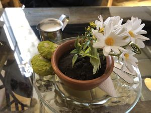   at Atavico Cafe in Quito