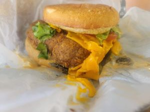  at Refocused in Baltimore