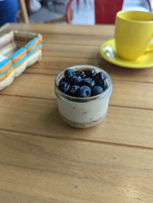 Blueberry cheesecake dessert at Vegano De Altura in Quito