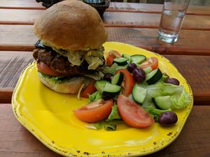 The vegan burger patty was excellent and available in a few different burger topping combinations. at Moonshine Runners Diner in Sedgefield