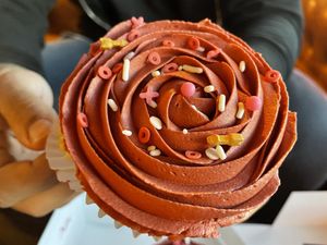 Jumbo cupcake  at Wisdom's Vegan Bakery & Cafe in Spring