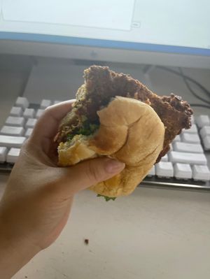 Spicy Seitan Chikn Sandwich   at Wisdom's Vegan Bakery & Cafe in Spring