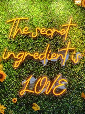 Yum at Wisdom's Vegan Bakery & Cafe in Spring