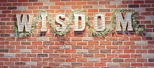  at Wisdom's Vegan Bakery & Cafe in Spring