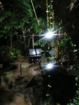 🌱 at Cosmic Power Woody Cottage in Nidangala