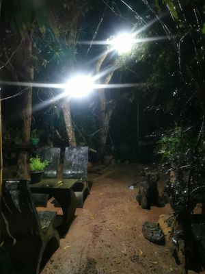 🌱 at Cosmic Power Woody Cottage in Nidangala