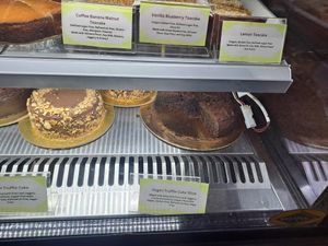  at Step Out Cafe in Jaipur