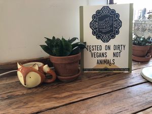 Tested on dirty vegans NOT animals! at The Fanciful Fox in Brooklyn