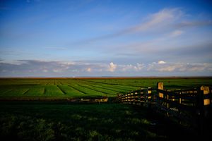 Nearby at Vegotel in Blije