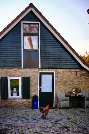 Vegotel  at Vegotel in Blije