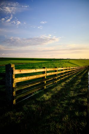 Nearby at Vegotel in Blije