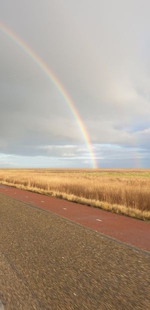 Surrounding at Vegotel in Blije
