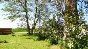 Garden view at Vegotel in Blije