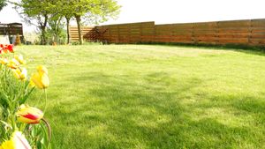 Garden view at Vegotel in Blije