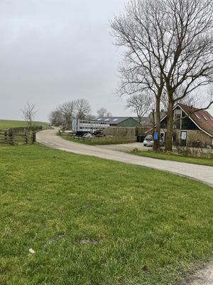 Outside - there’s a sheep farm next to Vegotel  at Vegotel in Blije