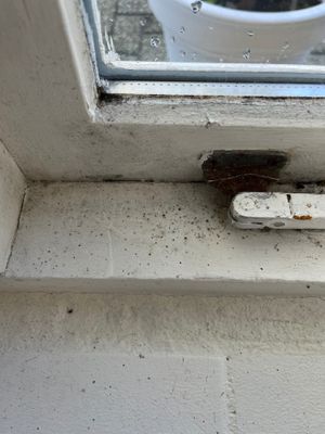 Not so clean in the dining room at Vegotel in Blije