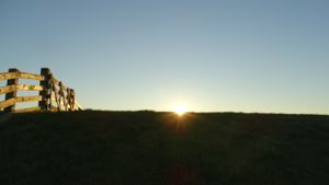 Sunset at Vegotel at Vegotel in Blije