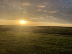 Bij de dijk, picknick  at Vegotel in Blije
