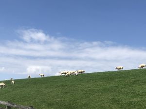 The views from the terras at Vegotel in Blije