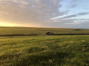 Just next to the hotel at Vegotel in Blije