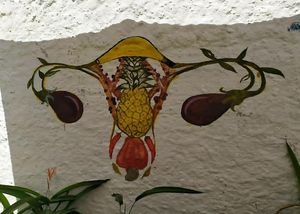  at Ogrão in Joao Pessoa