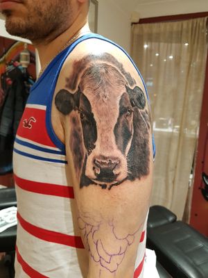 Start of a half sleeve. at Inky Swallows in Hove