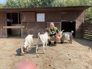  at Friend Farm Animal Sanctuary in Tonbridge