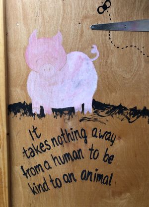 It takes nothing away from a human to be kind to an animal. at Friend Farm Animal Sanctuary in Tonbridge