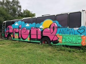 F.R.I.E.N.D. at Friend Farm Animal Sanctuary in Tonbridge