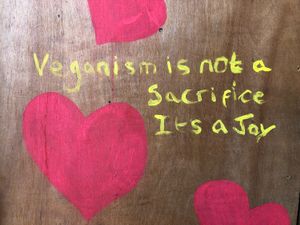 Well said. at Friend Farm Animal Sanctuary in Tonbridge