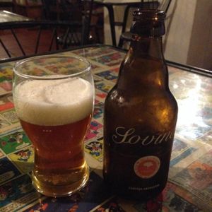 Sovina beer 'Amber'- a must try! at Casa da Horta in Porto