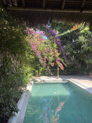 View   at Flowers & Fire in 