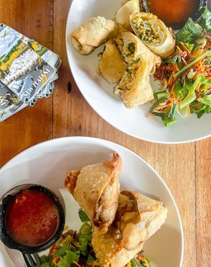 Spring rolls (top) and samosas (bottom)   at Flowers & Fire in 