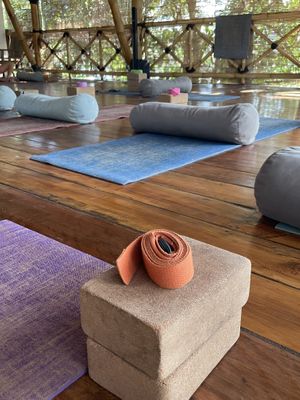   at Flowers & Fire in 