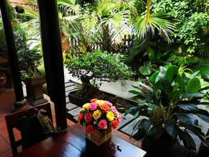 Front garden and koi pond at Phuc An in Da Nang