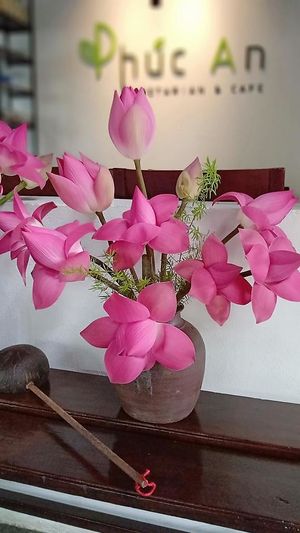 Phuc An Vegetarian&Cafe at Phuc An in Da Nang