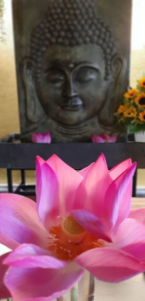  peaceful at Phuc An in Da Nang