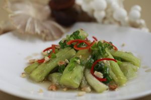 eggplant in sping onion fish sauce at Phuc An in Da Nang