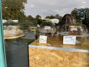 More vegan options  at Ginger Bees Cafe in Kingston Upon Thames