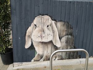 Cute paintings  at Ginger Bees Cafe in Kingston Upon Thames