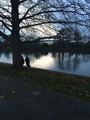 The river chill is removed when inside the warmth at Ginger Bees Cafe in Kingston Upon Thames