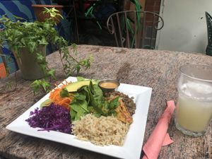 Dragon bowl at La Lumiere du Mile End in Montreal