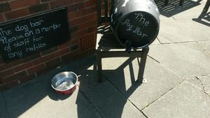 Dig friendly at The Beacon Hotel in Whitley Bay